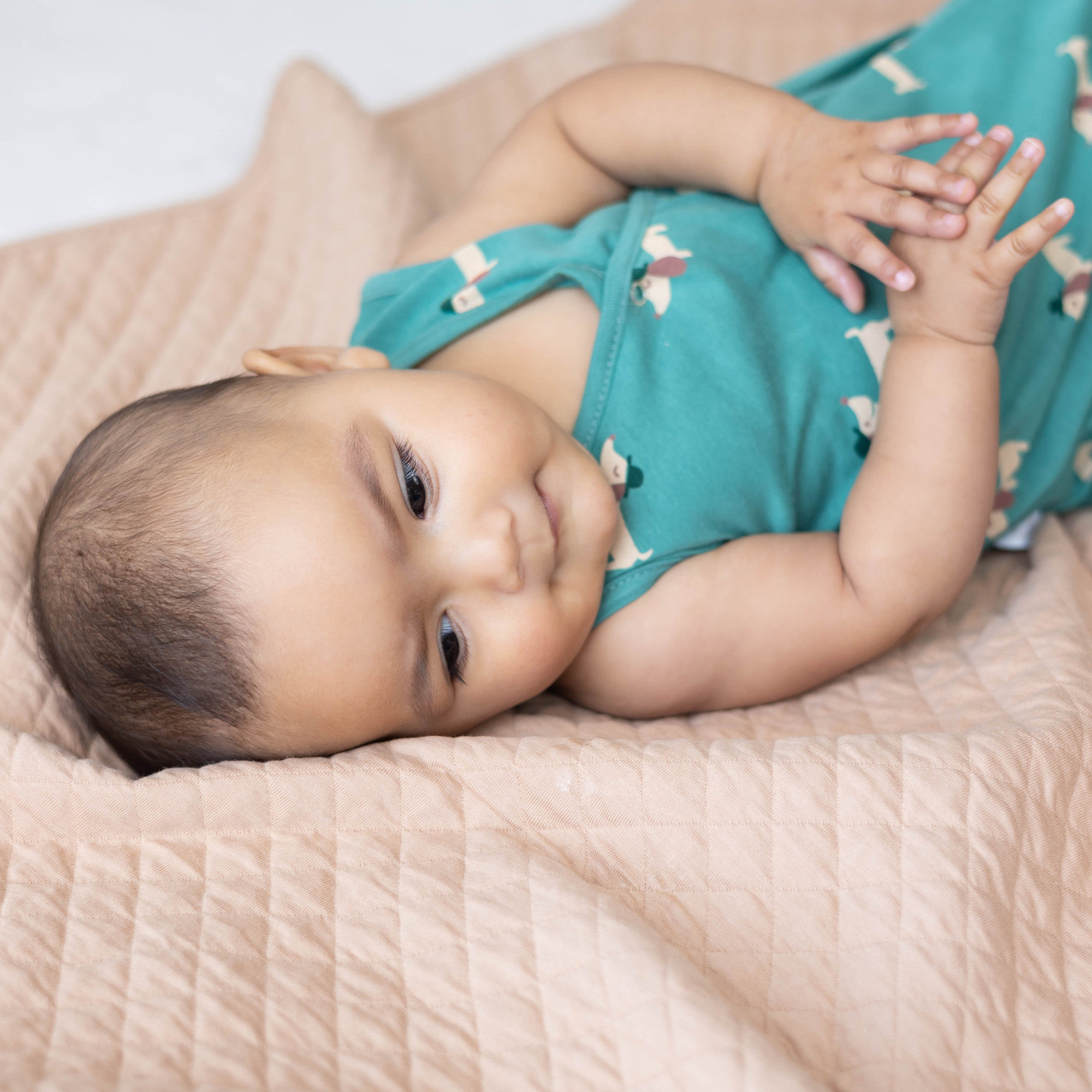 MAGIC BAG Jersey 4-12m WOUFF Wouff spinach TOG 0.5[BAGS]