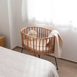 Spannbettlaken wiege Weicher Jersey 50x90cm  Sesame