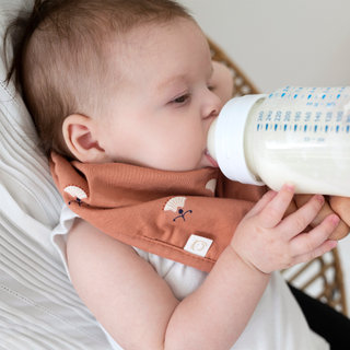 Bandana waterproof Jersey 25cm ODETE Art deco